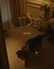Filename=2021_-_Maybe_mp40008.jpg
Filesize=728KiB
Dimensions=1680x1080
Date added=Jul 19, 2025 2021_-_Maybe_mp40008.jpg